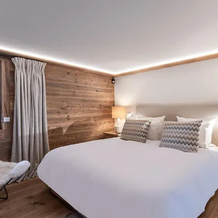 Spacieux Et Lumineux Avec Spa, Cinema Et A Demi-quartier, - Fr-1-569-191 Chalet